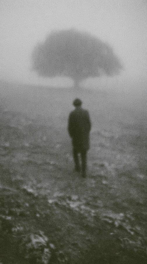 Un homme de dos dans un champ, un arbre dans la brume